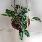 85cm Hanging Artificial Potted Pothos Plant