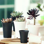 Flowerpot set detail