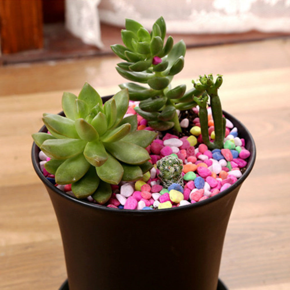 Modern Plastic Flowerpot Set – Lightweight Planters